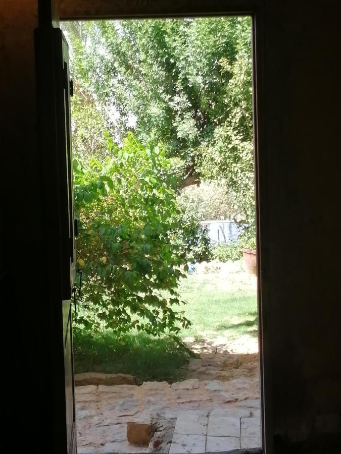 Studio In Byoum By Qaroun Lake In Fayoum Qaryat at Ta'mir as Siyahiyah Exterior foto